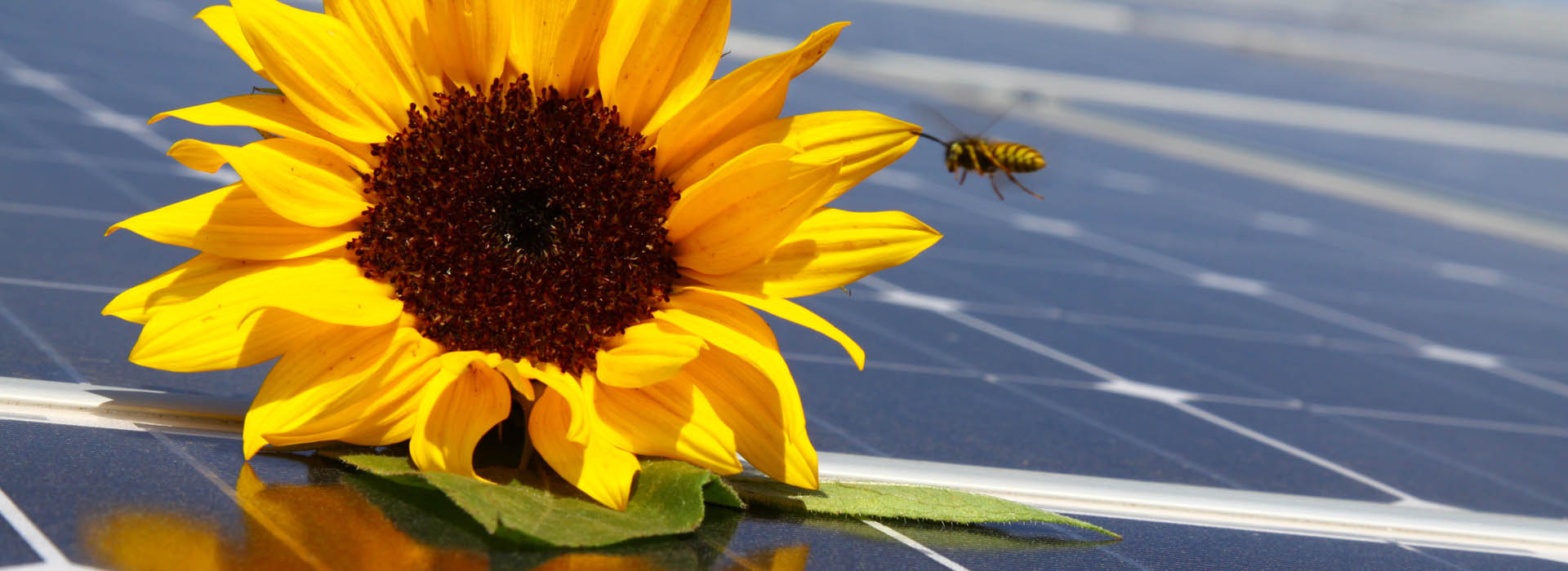 Anton Gigl Haustechnik GmbH in Kirchdorf Startseite